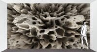 3D fototapetai Muance MU13095