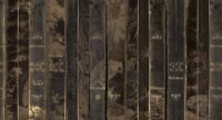Skaimeninis Fototapetas Muance tamsiai rudas su knygomis MU12088
