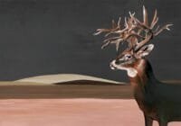 Coordonne Naturae fototapetas su elniu 9500200
