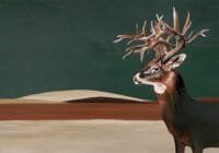 Fototapetai su elniu Coordonne Naturae 9500201