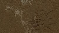 Fototapetas MU15005 Muance 5
