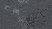 Fototapetas MU15006 Muance 5