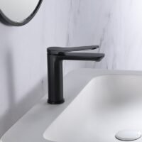 Praustuvo maišytuvas Imex Dinamarca BDR031-1NG