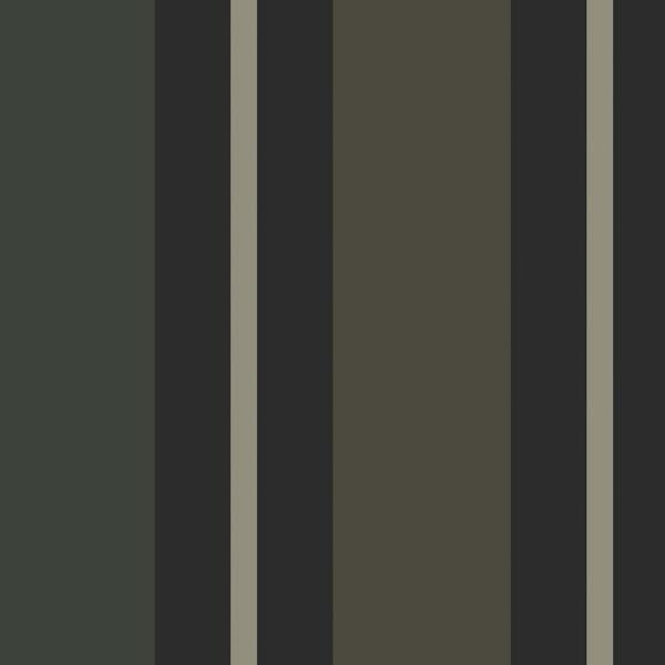 Tamsių juostų tapetai Nantucket Stripes SR21306