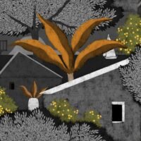 Tapetai Coordonne Sarape C00009