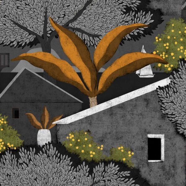 Tapetai Coordonne Sarape C00009