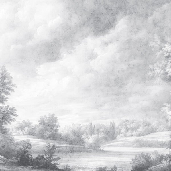 Fototapetai Muance 6 MU16093 miško paveikslas