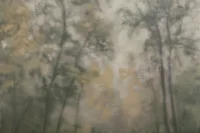 Fototapetai Reve DF204