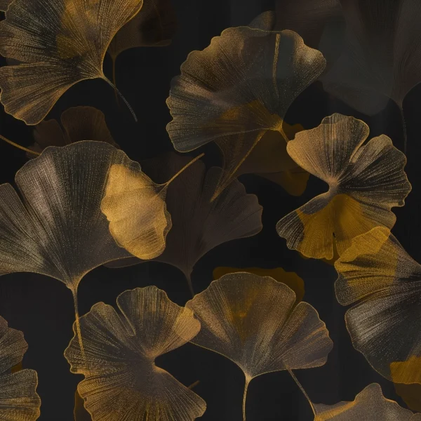 Fototapetas su ginkmendžio lapais Reve DM200