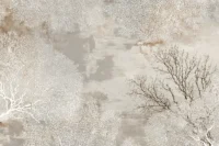 Šviesus fototapetas miegamajam Reve LC206
