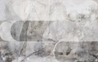 Fototapetai Reve MRDA100